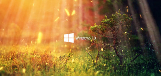 Nature 1080P - Windows 10 Series